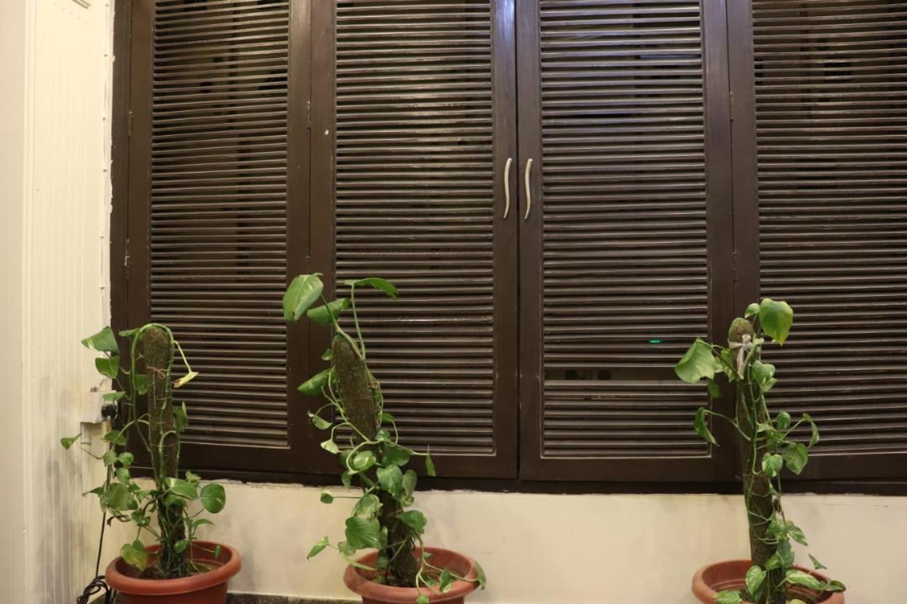 Hotel Marigold New Delhi Eksteriør bilde
